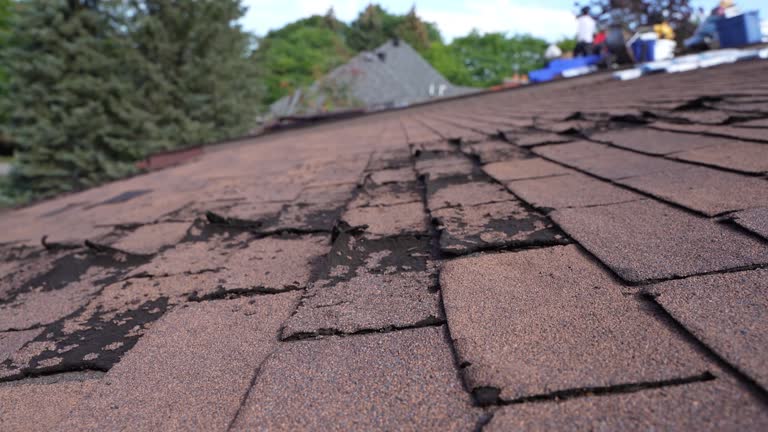 Best Roofing for New Construction  in Fort Sumner, NM