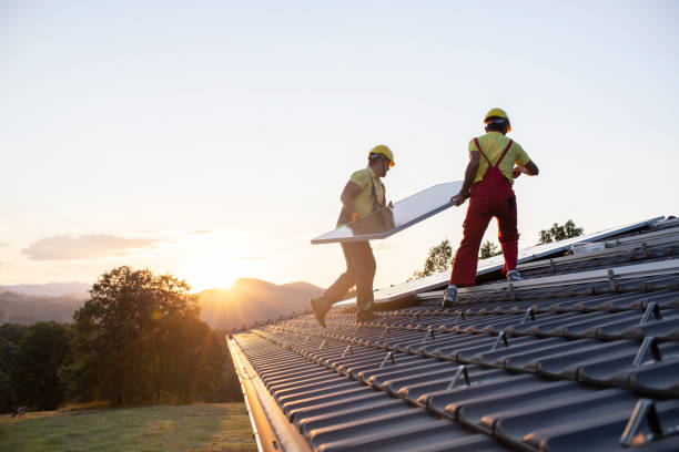 Best Skylight Installation and Repair  in Fort Sumner, NM