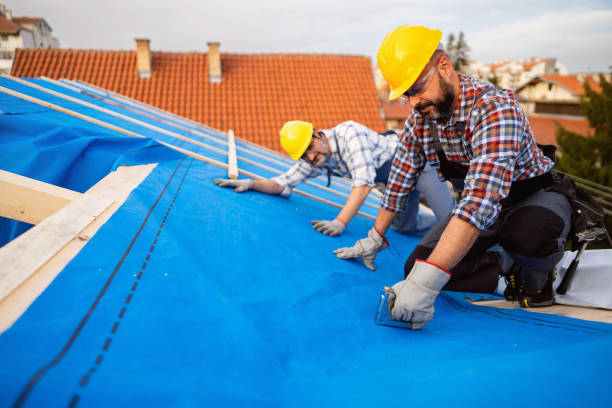 Best Roof Ventilation Installation  in Fort Sumner, NM