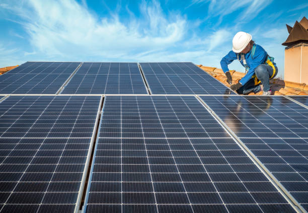 Best Roof Moss and Algae Removal  in Fort Sumner, NM